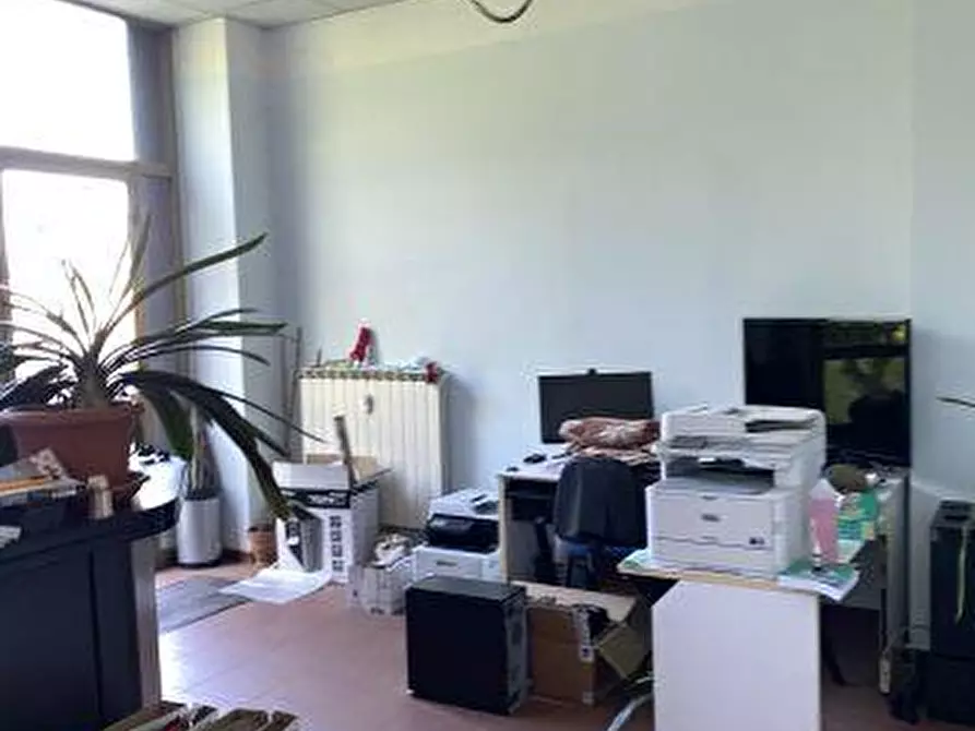 Immagine 6 di Locale commerciale in vendita  a Arcola