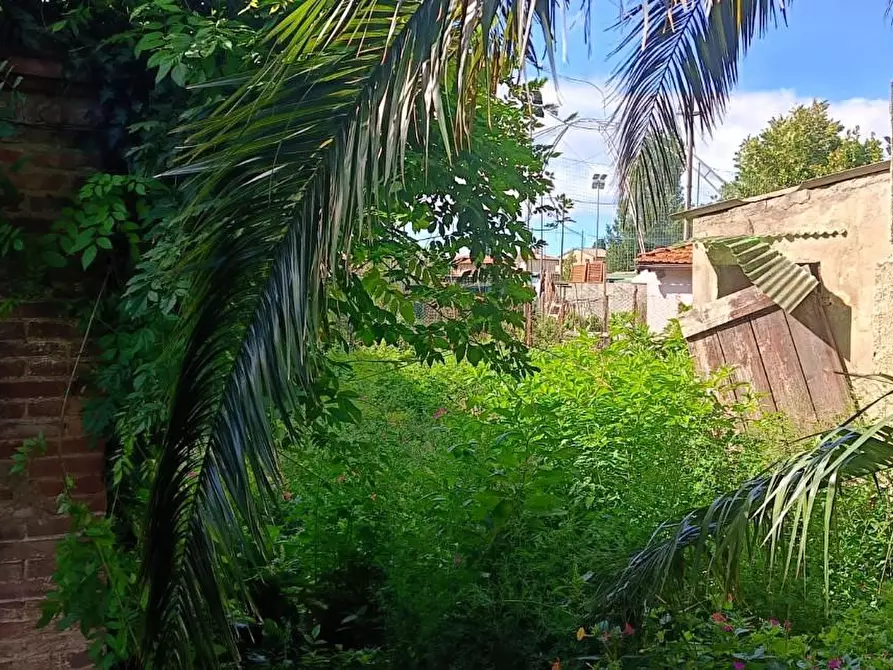 Immagine 3 di Magazzino in vendita  a Cascina