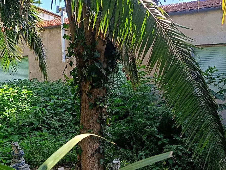 Immagine 2 di Magazzino in vendita  a Cascina