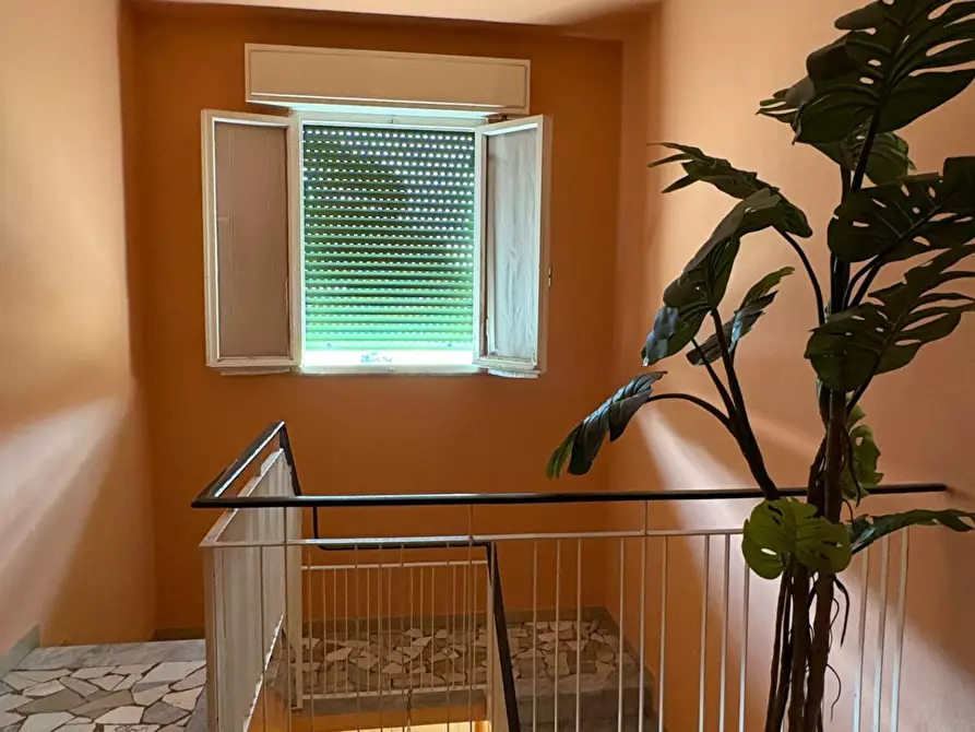 Immagine 12 di Appartamento in vendita  a San Giuliano Terme