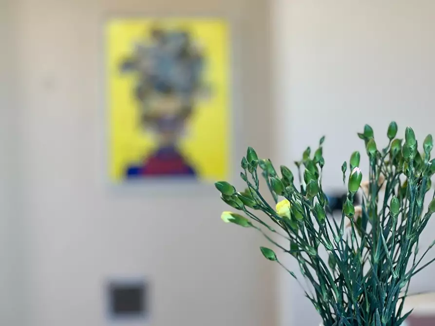 Immagine 5 di Mansarda in vendita  a Empoli