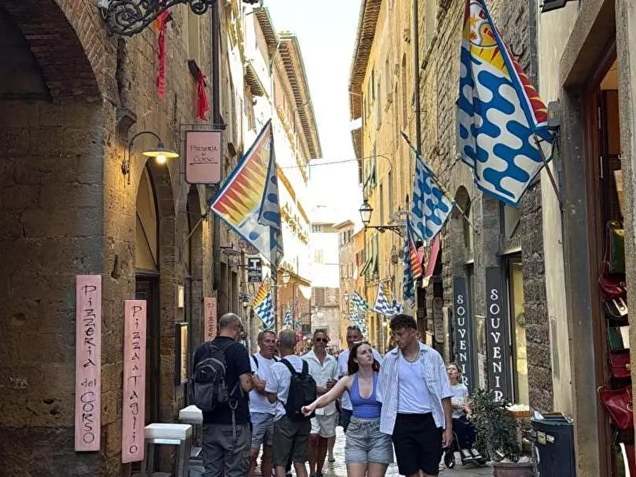 Immagine 5 di Appartamento in vendita  a Volterra