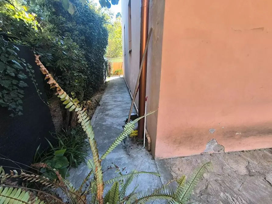 Immagine 78 di Casa bifamiliare in vendita  a Pisa