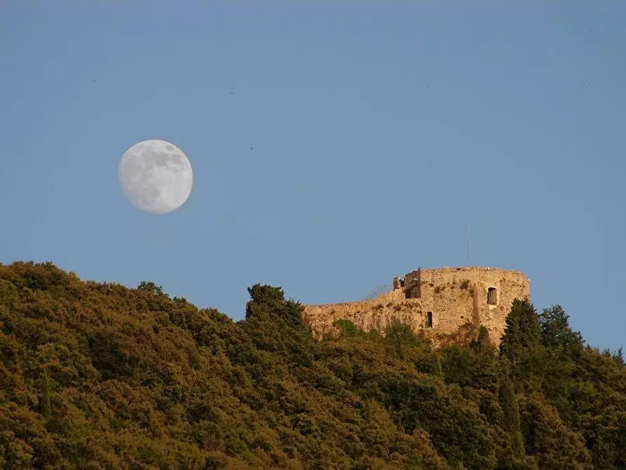 Immagine 49 di Casa semindipendente in vendita  a Montignoso