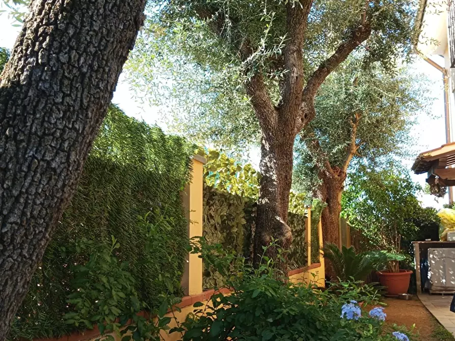 Immagine 36 di Casa semindipendente in vendita  a Montignoso