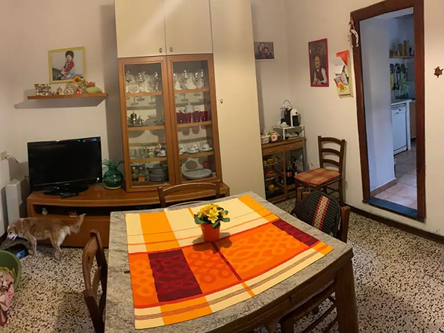 Immagine 9 di Terratetto in vendita  a Vecchiano