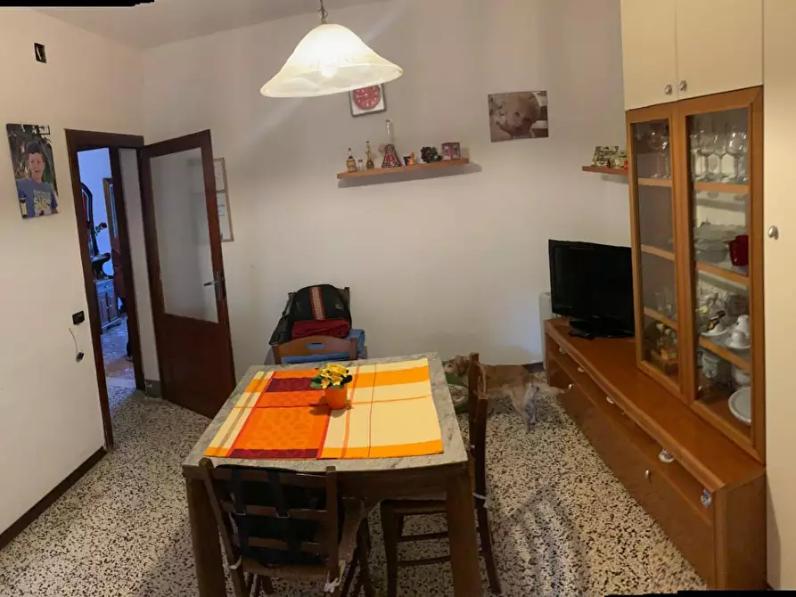 Immagine 10 di Terratetto in vendita  a Vecchiano