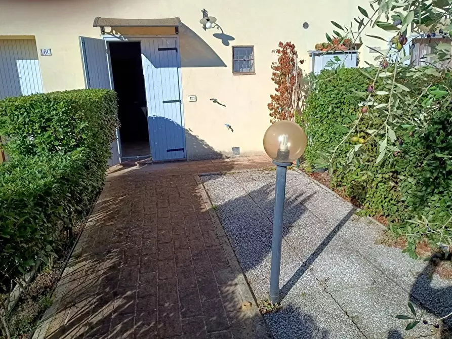 Immagine 13 di Appartamento in vendita  a Castelnuovo Berardenga