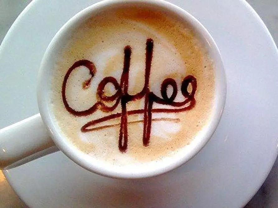 Immagine 18 di Bar / Ristorante in vendita  a Pisa