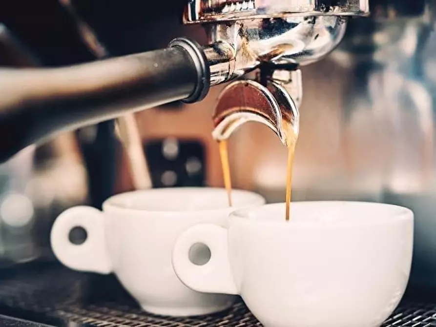 Immagine 16 di Bar / Ristorante in vendita  a Pisa