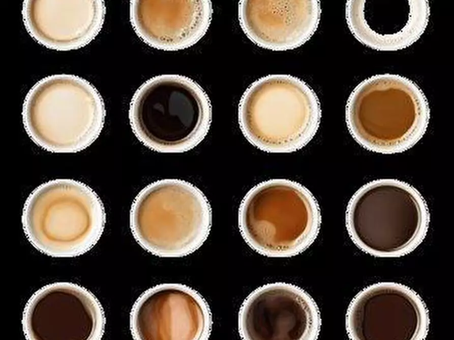 Immagine 14 di Bar / Ristorante in vendita  a Pisa