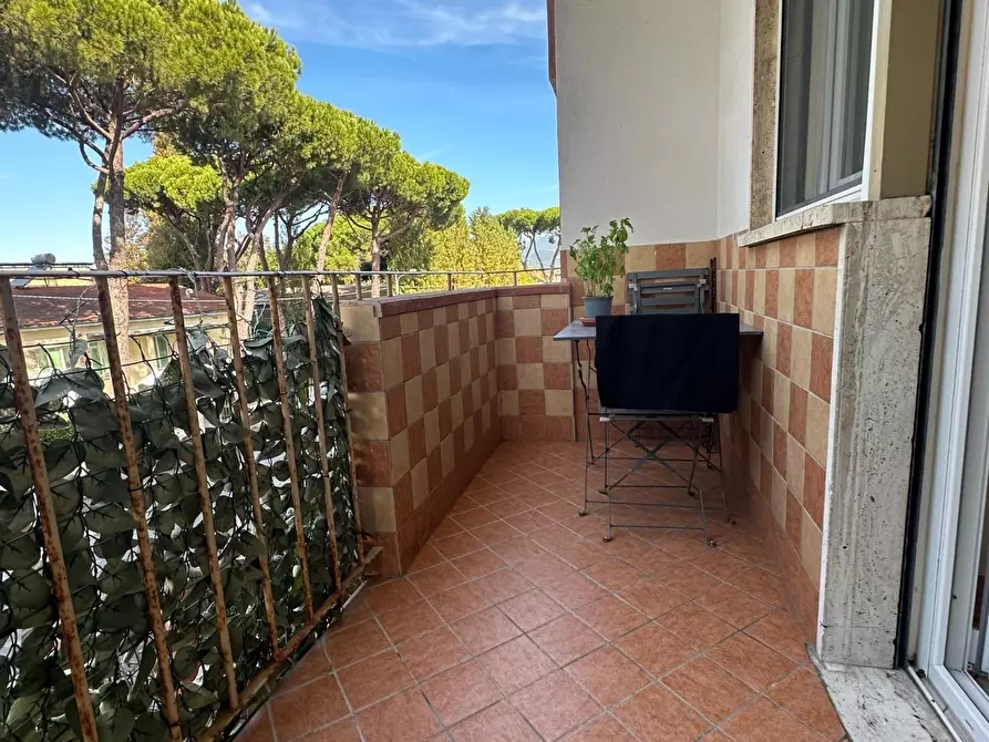 Immagine 22 di Appartamento in vendita  a Viareggio