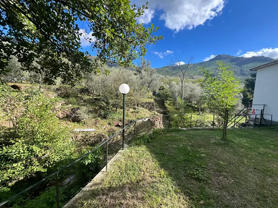 Immagine 9 di Villa in vendita  a Calci