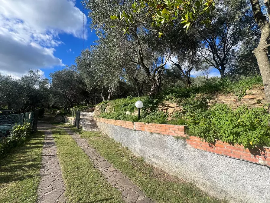 Immagine 6 di Villa in vendita  a Calci