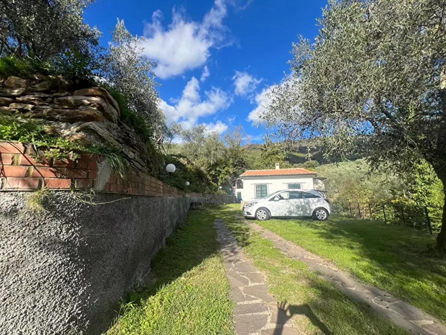 Immagine 7 di Villa in vendita  a Calci