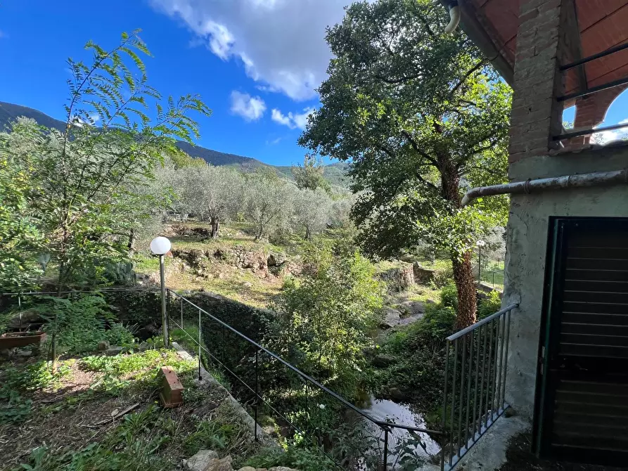 Immagine 37 di Villa in vendita  a Calci