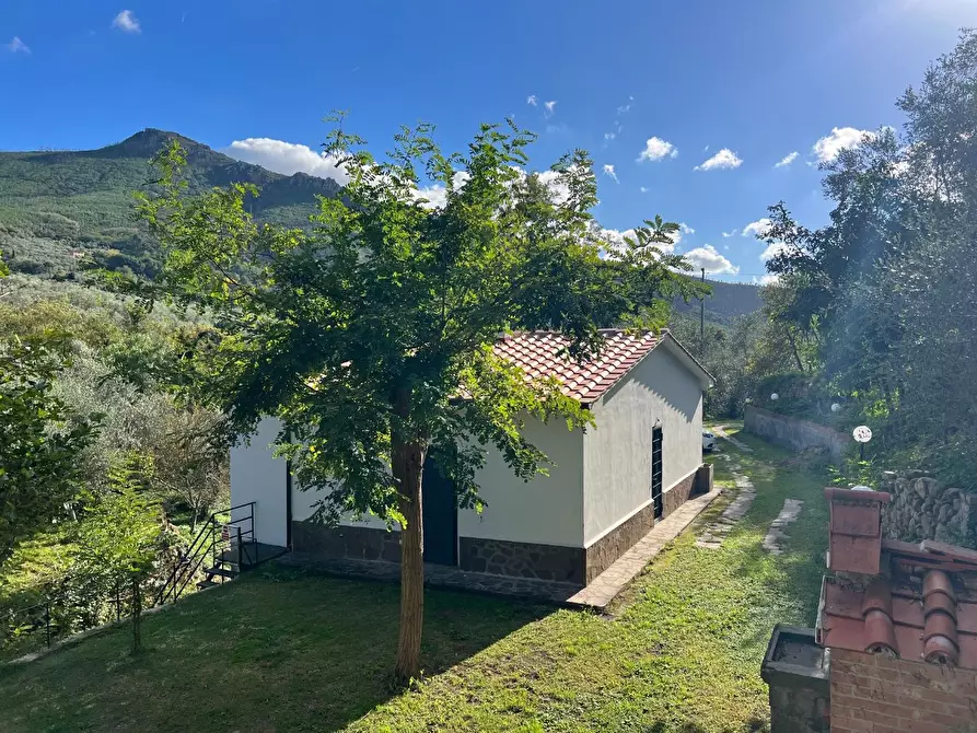 Immagine 42 di Villa in vendita  a Calci