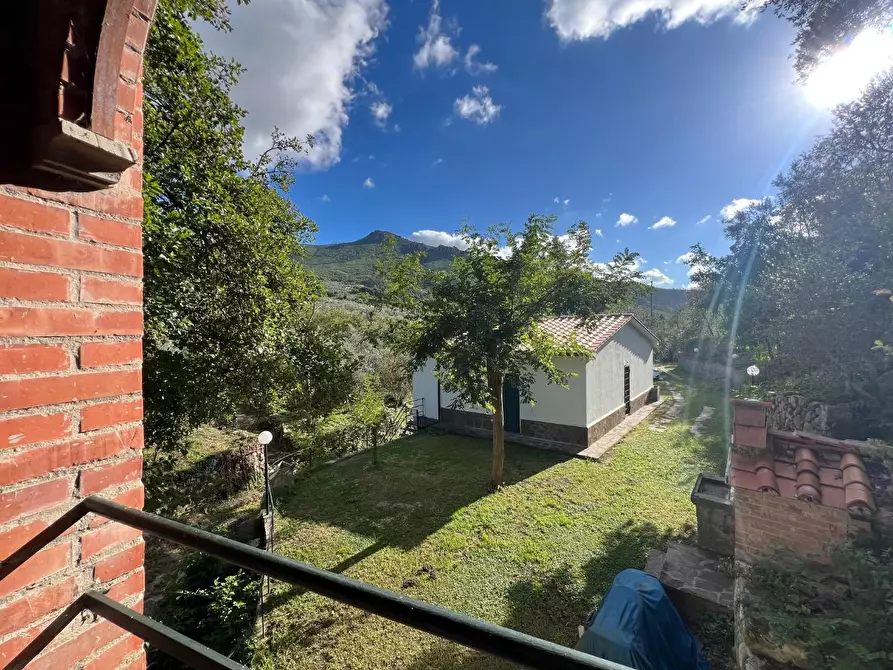 Immagine 41 di Villa in vendita  a Calci