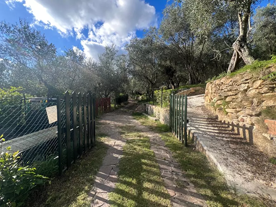 Immagine 4 di Villa in vendita  a Calci