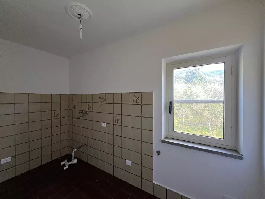 Immagine 21 di Villa in vendita  a Calci