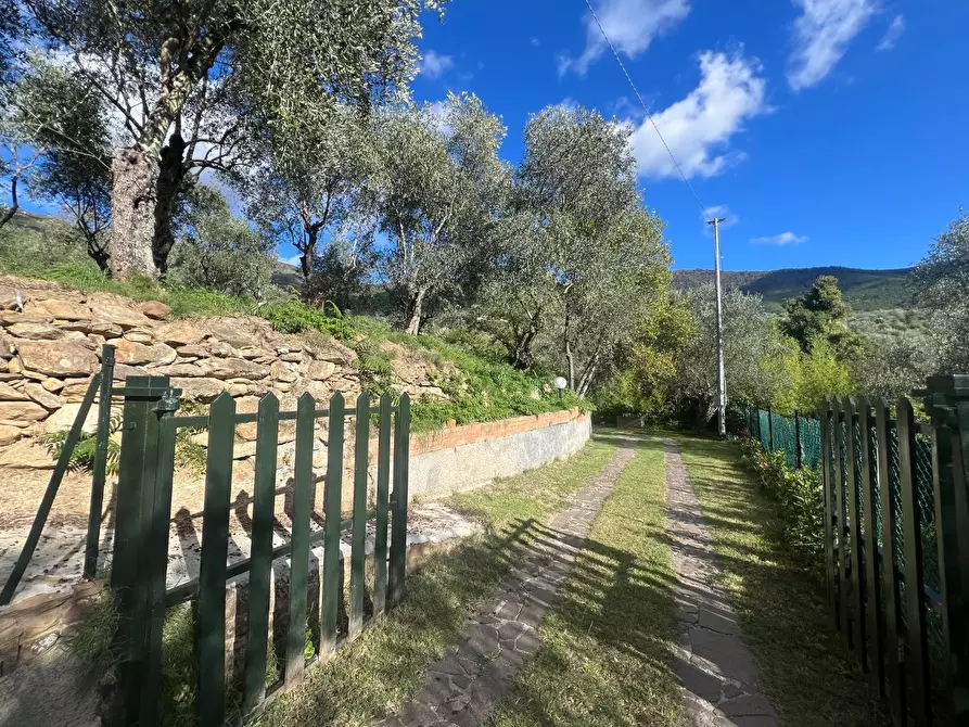 Immagine 5 di Villa in vendita  a Calci