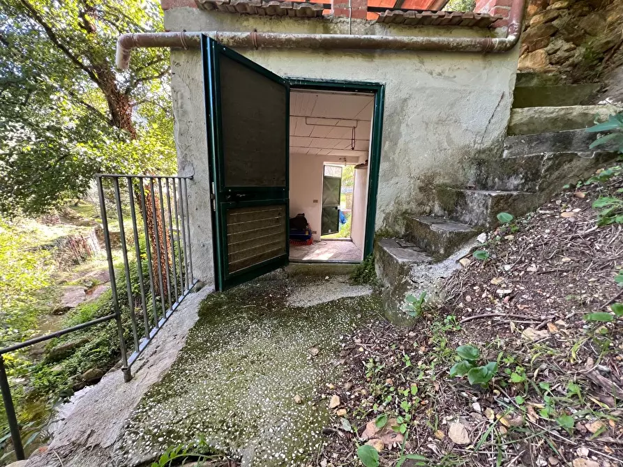 Immagine 38 di Villa in vendita  a Calci