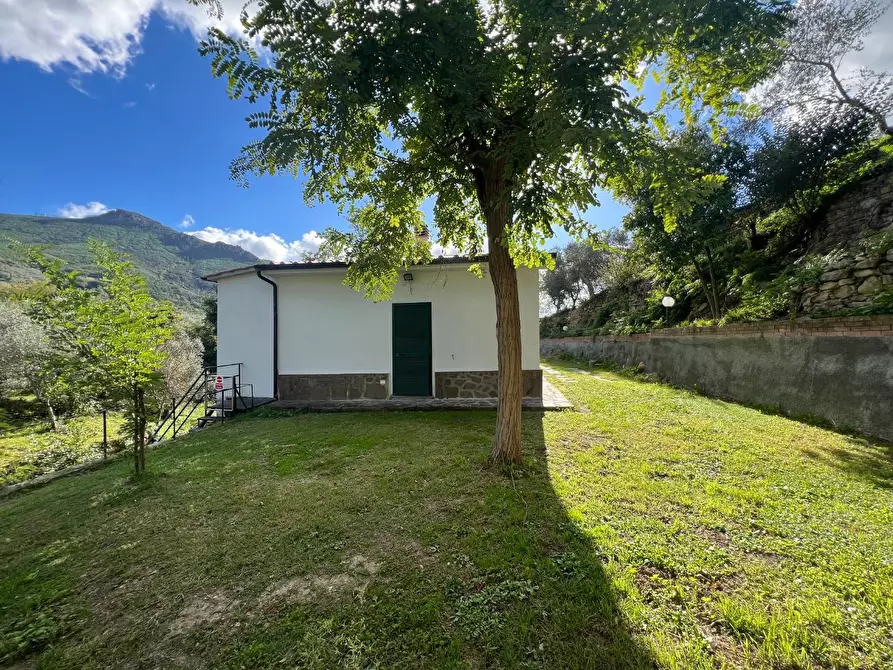 Immagine 3 di Villa in vendita  a Calci