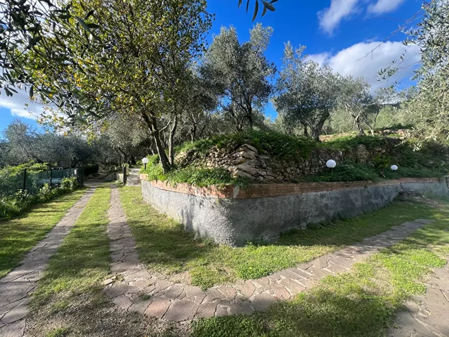 Immagine 8 di Villa in vendita  a Calci