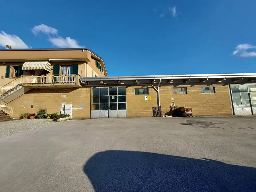 Immagine 2 di Capannone industriale in vendita  a Lucca