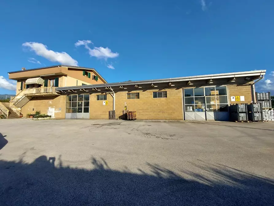 Immagine 1 di Capannone industriale in vendita  a Lucca