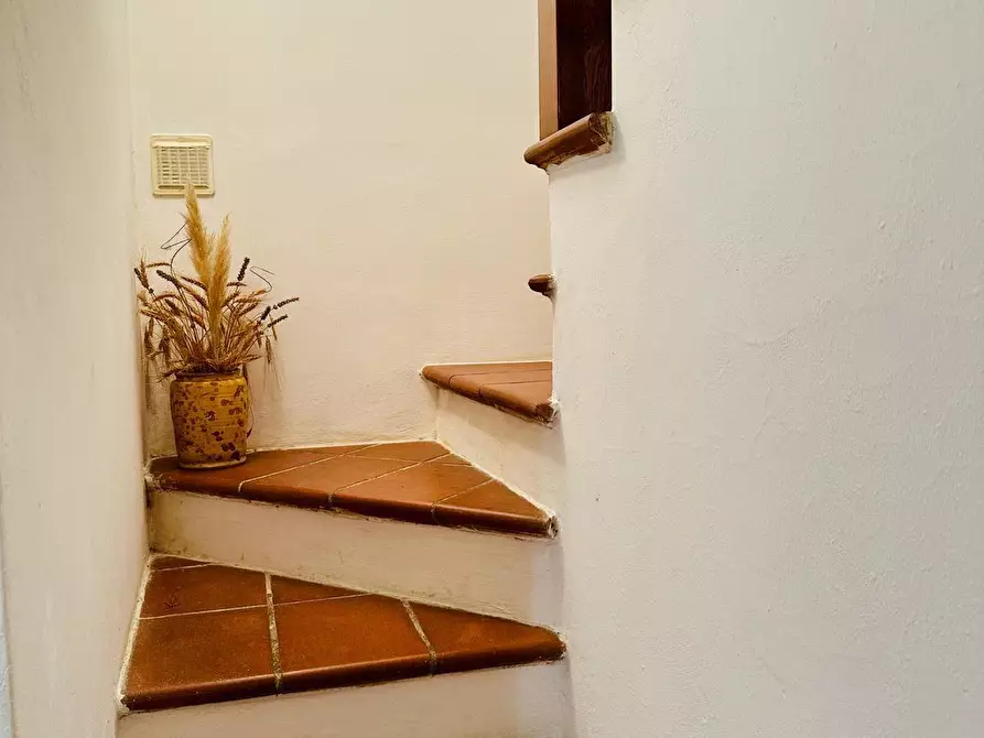 Immagine 19 di Terratetto in vendita  a Castelnuovo Berardenga