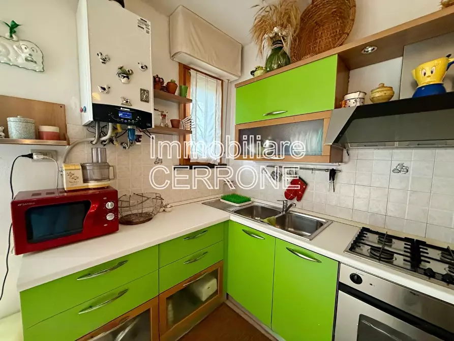 Immagine 6 di Appartamento in vendita  a Cecina