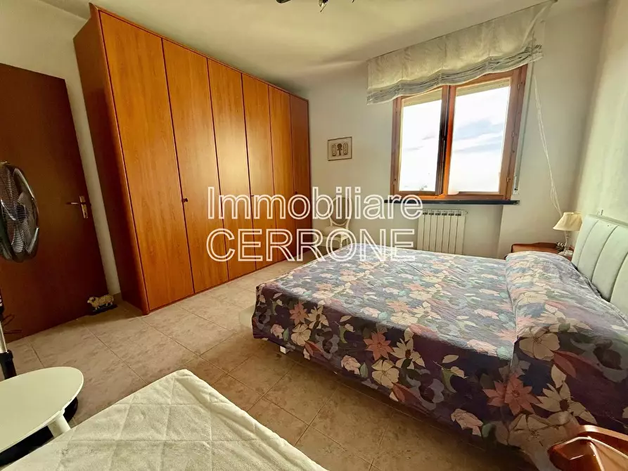 Immagine 11 di Appartamento in vendita  a Cecina