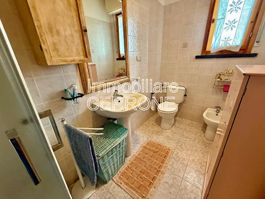 Immagine 18 di Appartamento in vendita  a Cecina