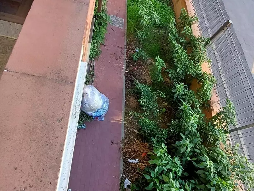 Immagine 12 di Appartamento in vendita  a Empoli