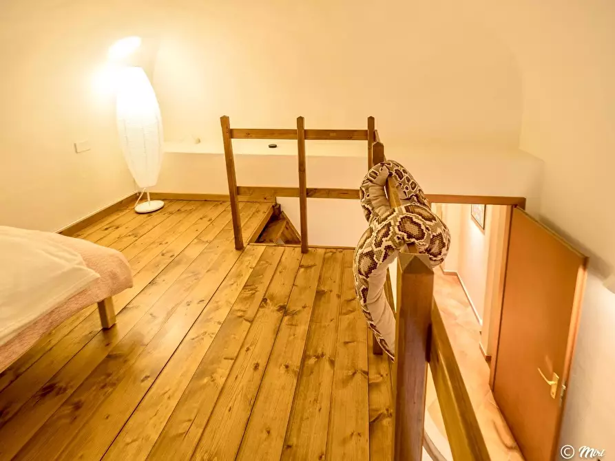 Immagine 14 di Appartamento in vendita  a Pisa