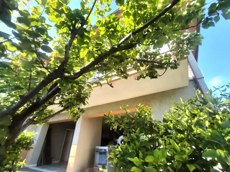 Immagine 19 di Villa in vendita  a Carrara