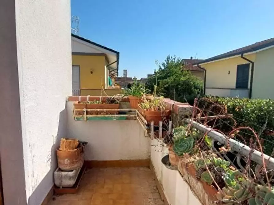 Immagine 6 di Mansarda in vendita  a Viareggio