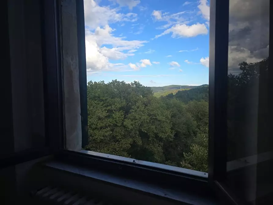 Immagine 23 di Porzione di casa in vendita  a Monticiano