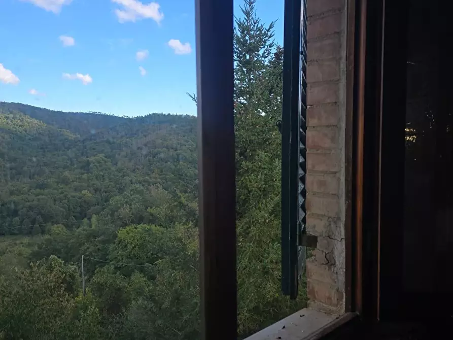 Immagine 26 di Porzione di casa in vendita  a Monticiano