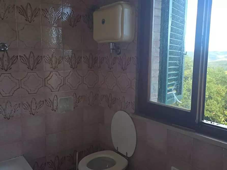 Immagine 24 di Porzione di casa in vendita  a Monticiano