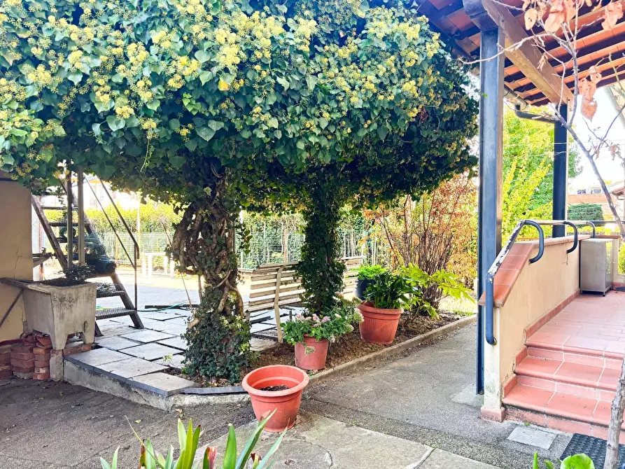 Immagine 5 di Appartamento in vendita  a Empoli