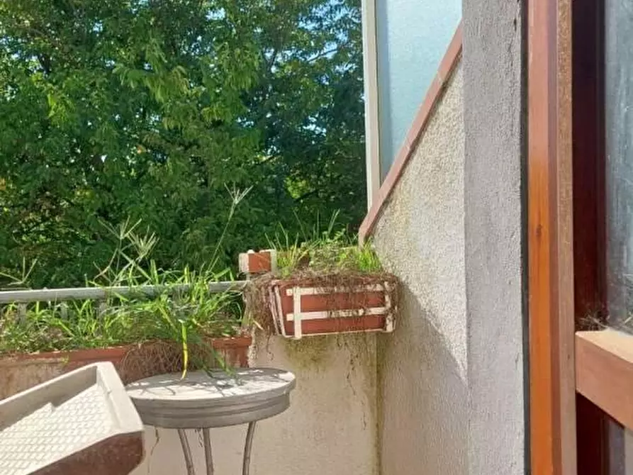 Immagine 5 di Appartamento in vendita  a Viareggio