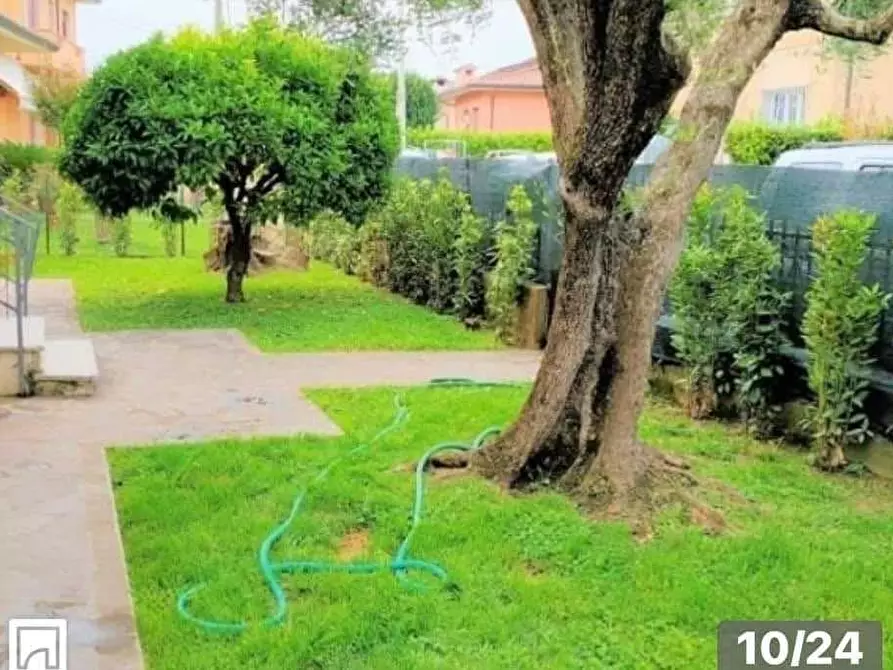 Immagine 6 di Terratetto in vendita  a Camaiore