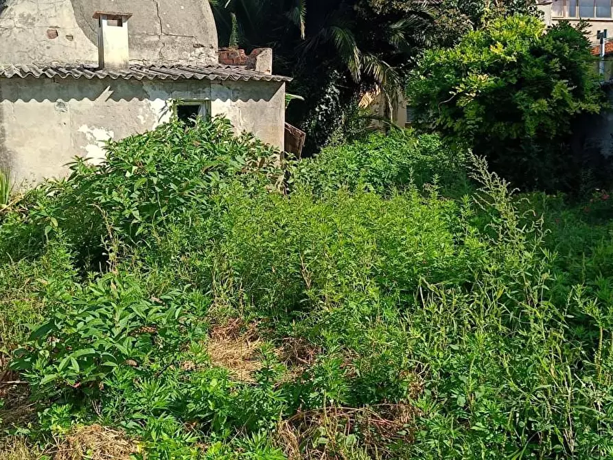 Immagine 2 di Palazzo in vendita  a Cascina