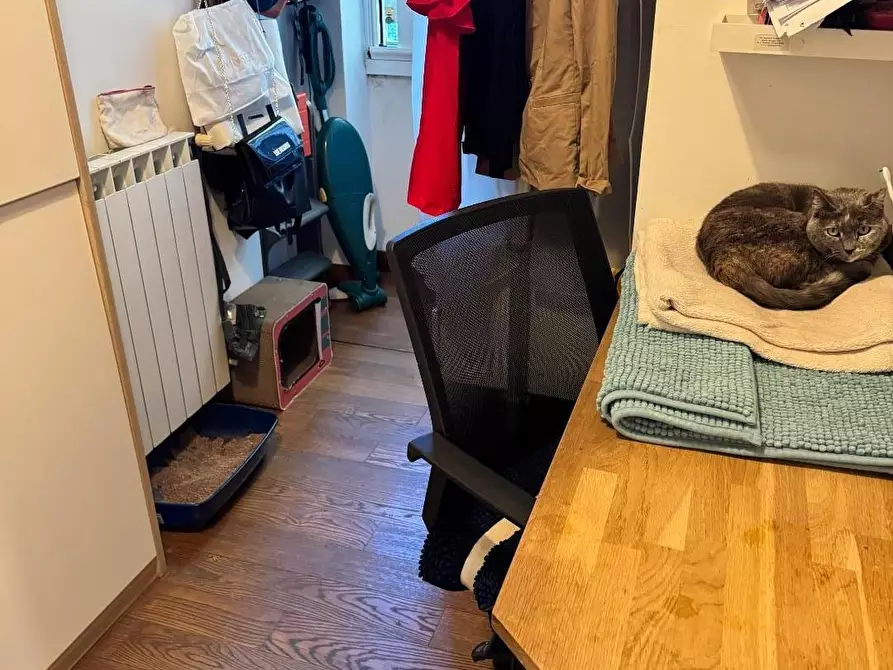 Immagine 9 di Appartamento in vendita  a Viareggio