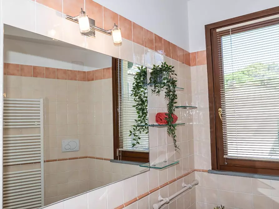 Immagine 30 di Mansarda in vendita  a Rosignano Marittimo