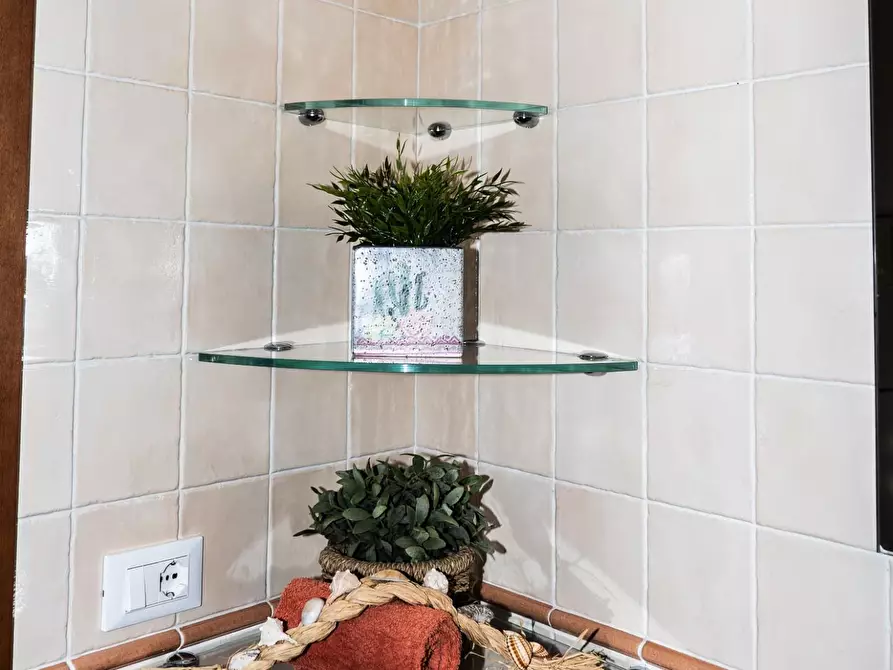 Immagine 29 di Mansarda in vendita  a Rosignano Marittimo