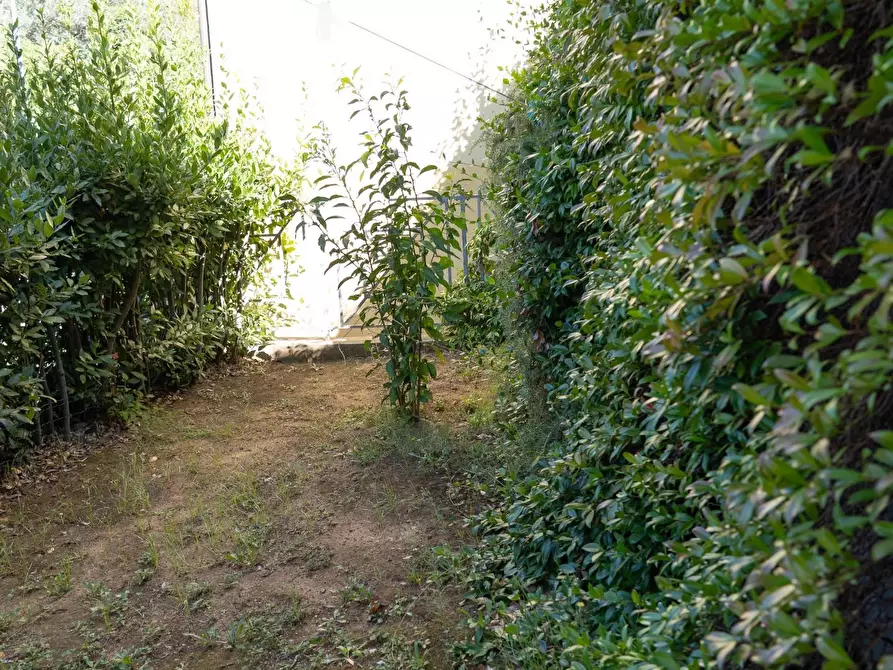 Immagine 39 di Mansarda in vendita  a Rosignano Marittimo