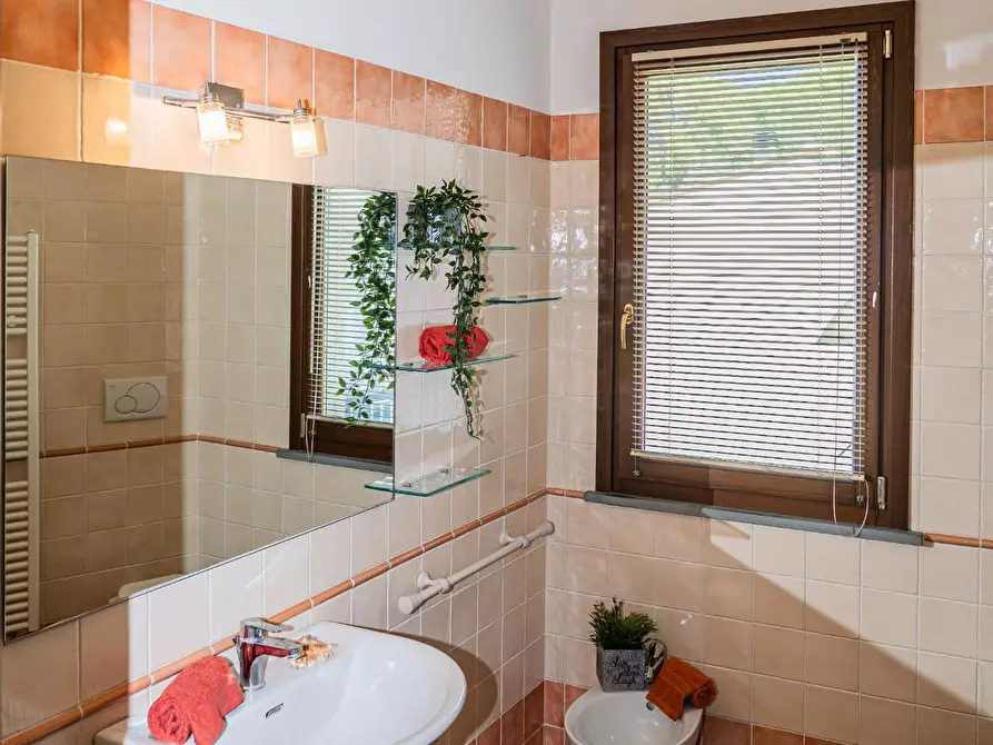 Immagine 28 di Mansarda in vendita  a Rosignano Marittimo